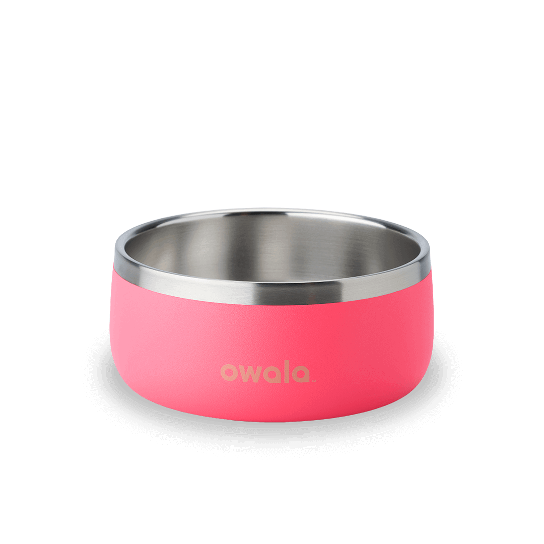 Pet Bowl Hyper Flamingo - 3 cups