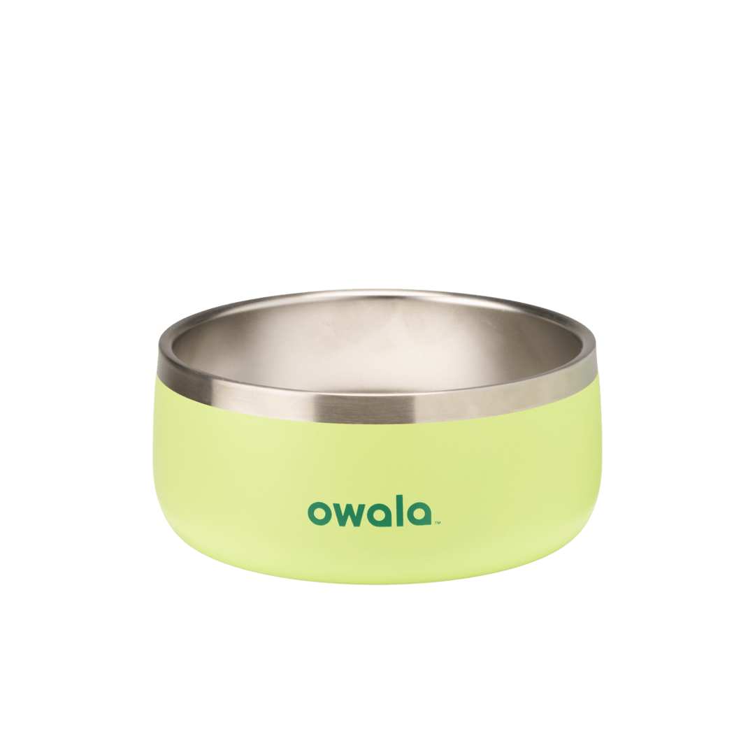 Pet Bowl Sweet Treat - 3 cups