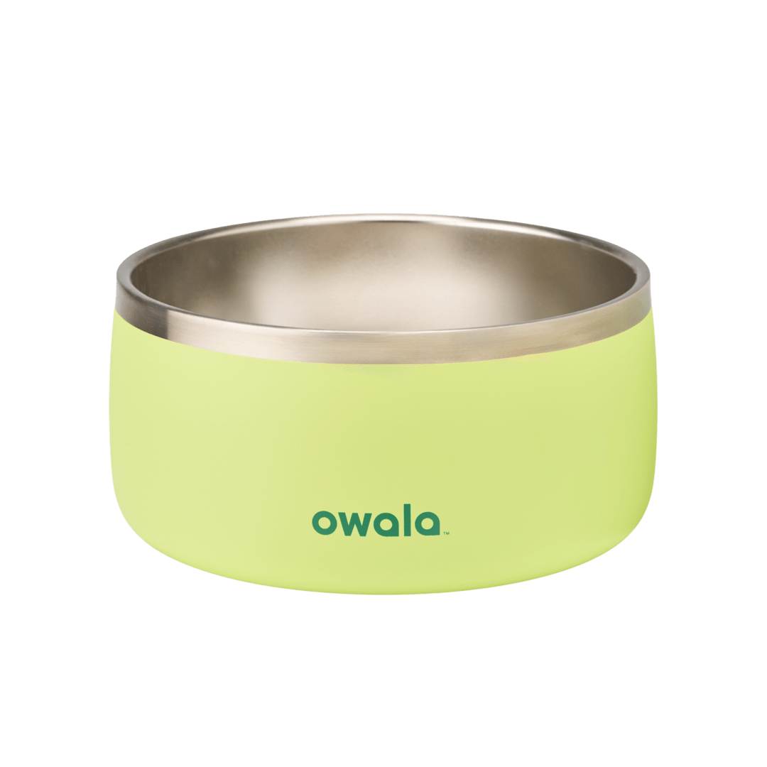 Pet Bowl Sweet Treat - 6 cups