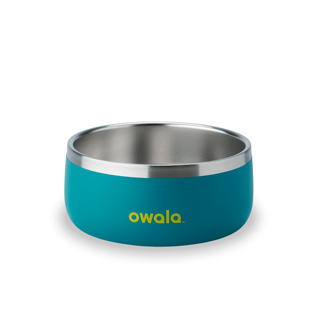 Pet Bowl Turquoise & Caicos - 3 cups
